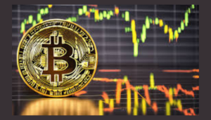 Read more about the article أصحاب البيتكوين على المدى القصير “رد فعل مفرط” عامل في انخفاض BTC إلى ما دون 50 ألف دولار – Glassnode